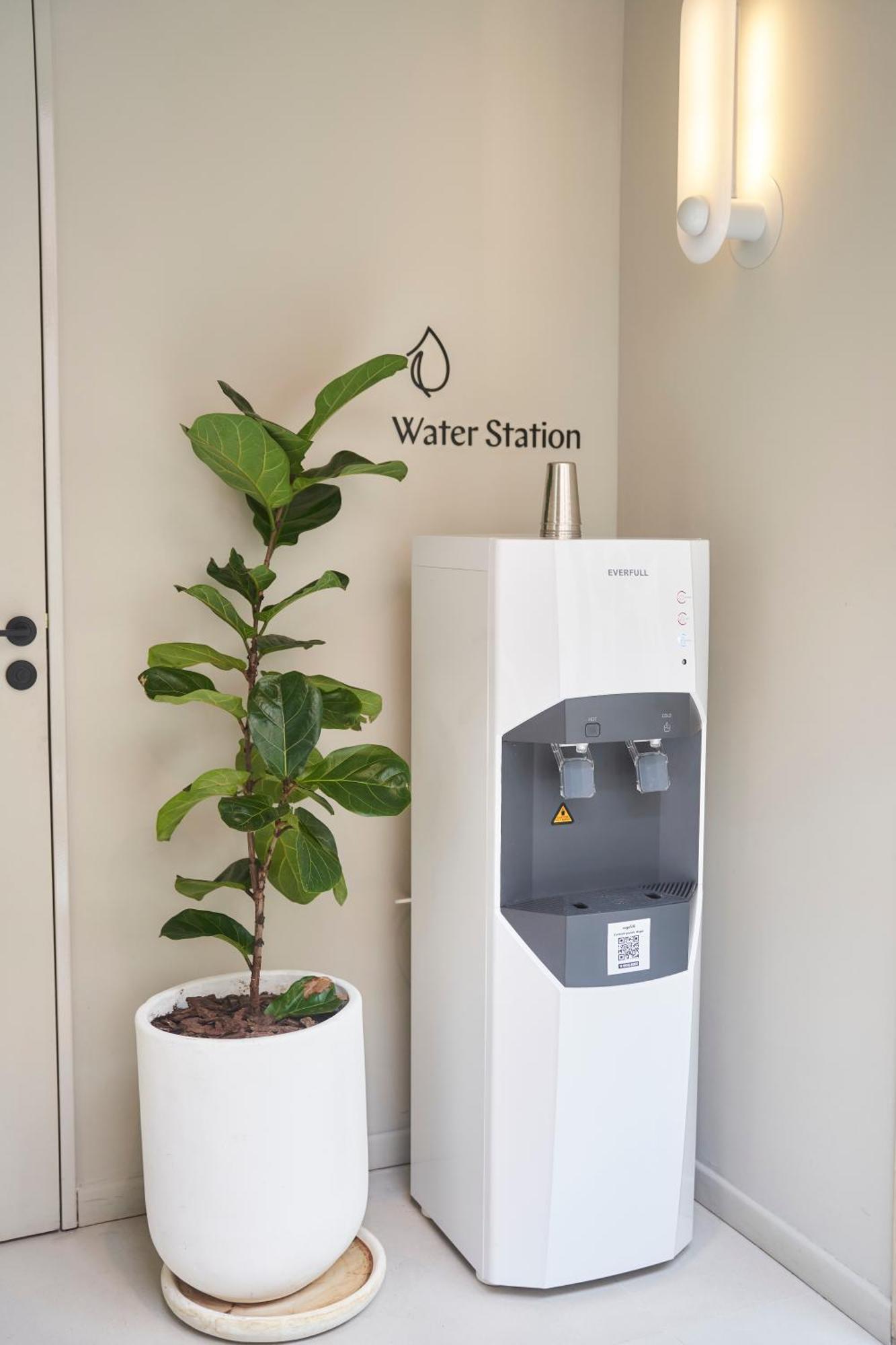 Bromelia Hotel Boutique ブエノスアイレス エクステリア 写真